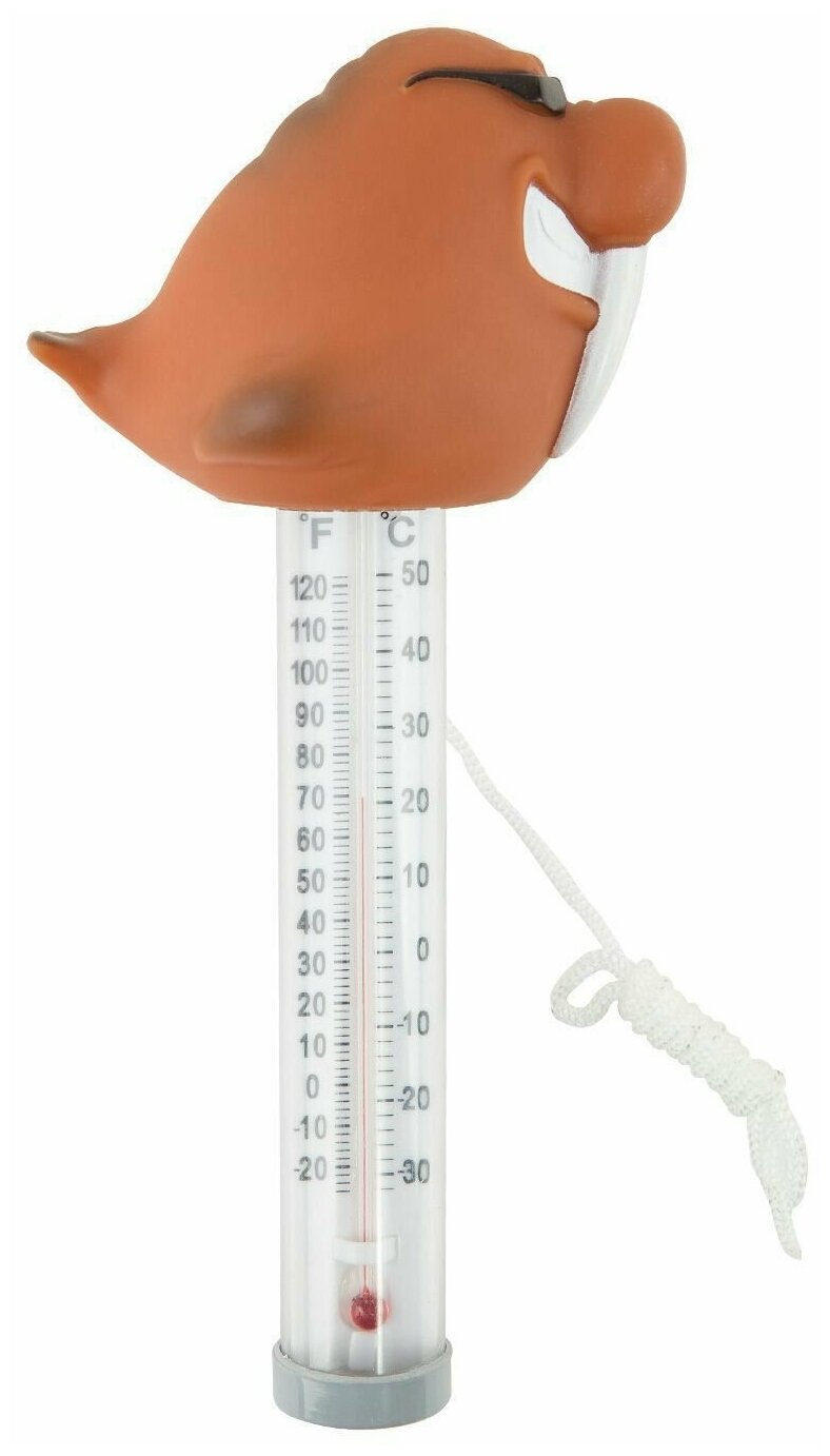 Термометр-игрушка Kokido K725DIS/6P Морж - фотография № 1