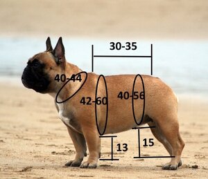 Одежда для французского бульдога