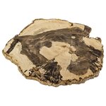 Окаменелое дерево, в коллекцию, размер 124х104х7 мм, вес 158 гр., месторождение Мадагаскар - изображение