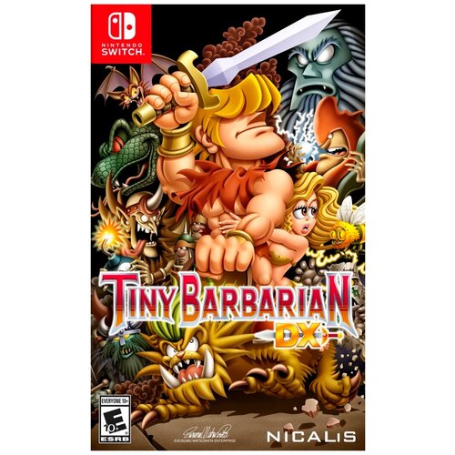 Игра Tiny Barbarian DX для Nintendo Switch, картридж