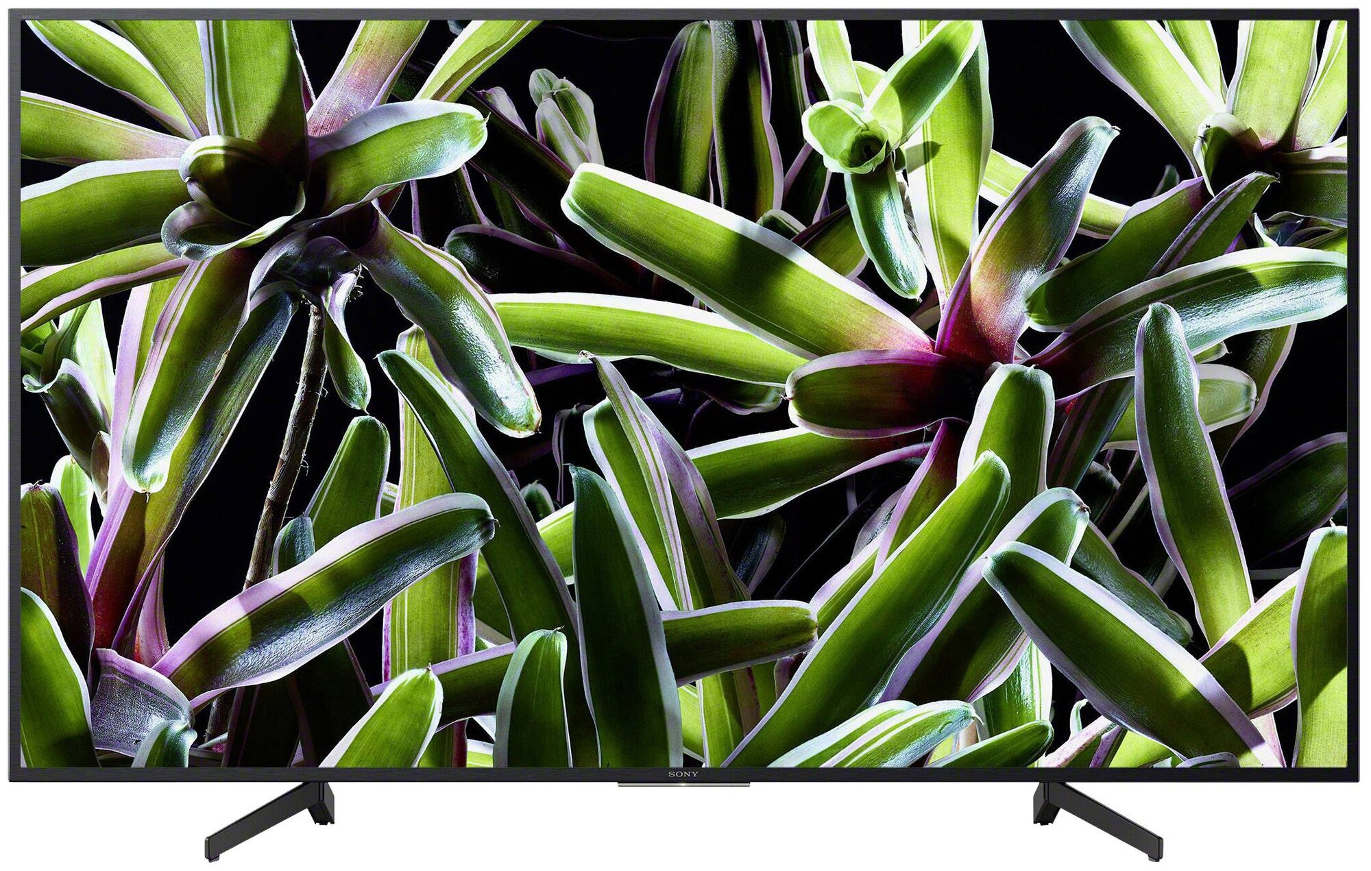 65" Телевизор Sony KD-65XG7096 2019 LED, HDR, Triluminos, черный