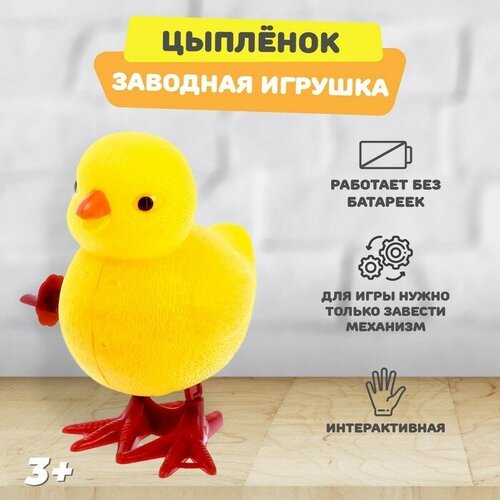 MARU Заводная игрушка «Цыплёнок», прыгает