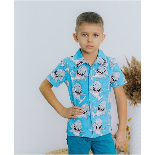 Рубашка для мальчика с коротким рукавом (231-20 р60 (116) 08) LIDEKO kids