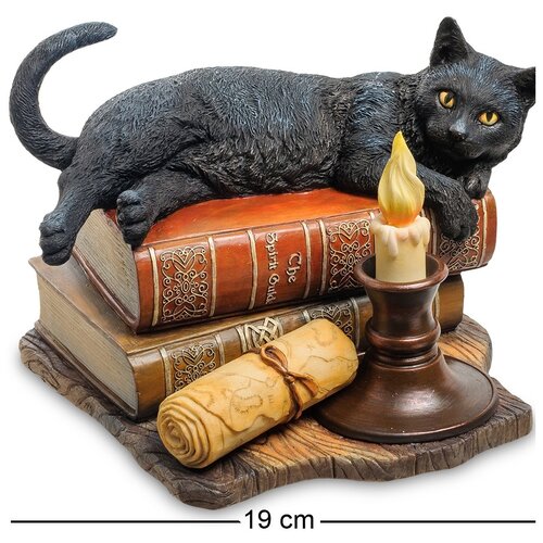 фото Ws-843 статуэтка кот на книгах (лиза паркер) veronese