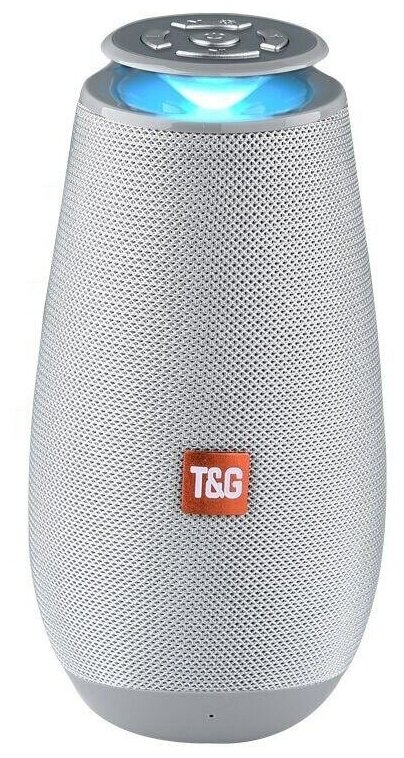 Портативная акустика T&G TG-508, 5 Вт, серый