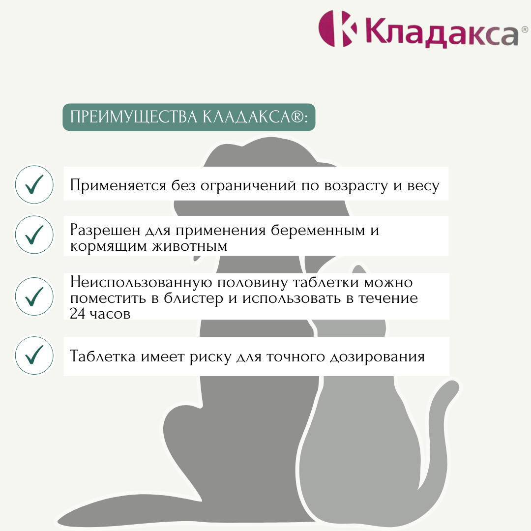 Препарат Кладакса жевательные таблетки 250 мг (200 мг/50 мг), 10 штук