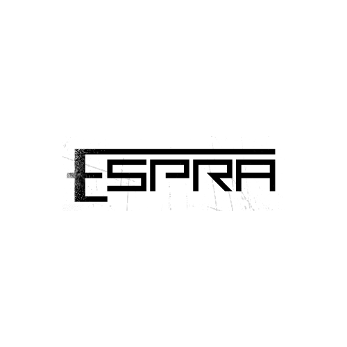 ESPRA ES139593 Подшипник P6 (ULTRAPRECISO) задней ступицы(проточка, коьцо)ГАЗеь Next 4,6 тн (C41R92-3104