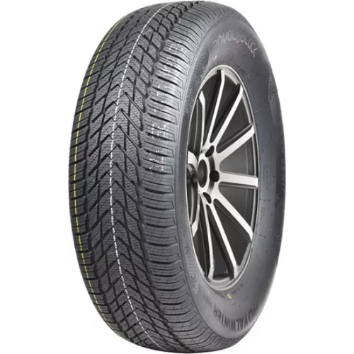 Royal Black Royal Winter HP 205/55 R16 91H