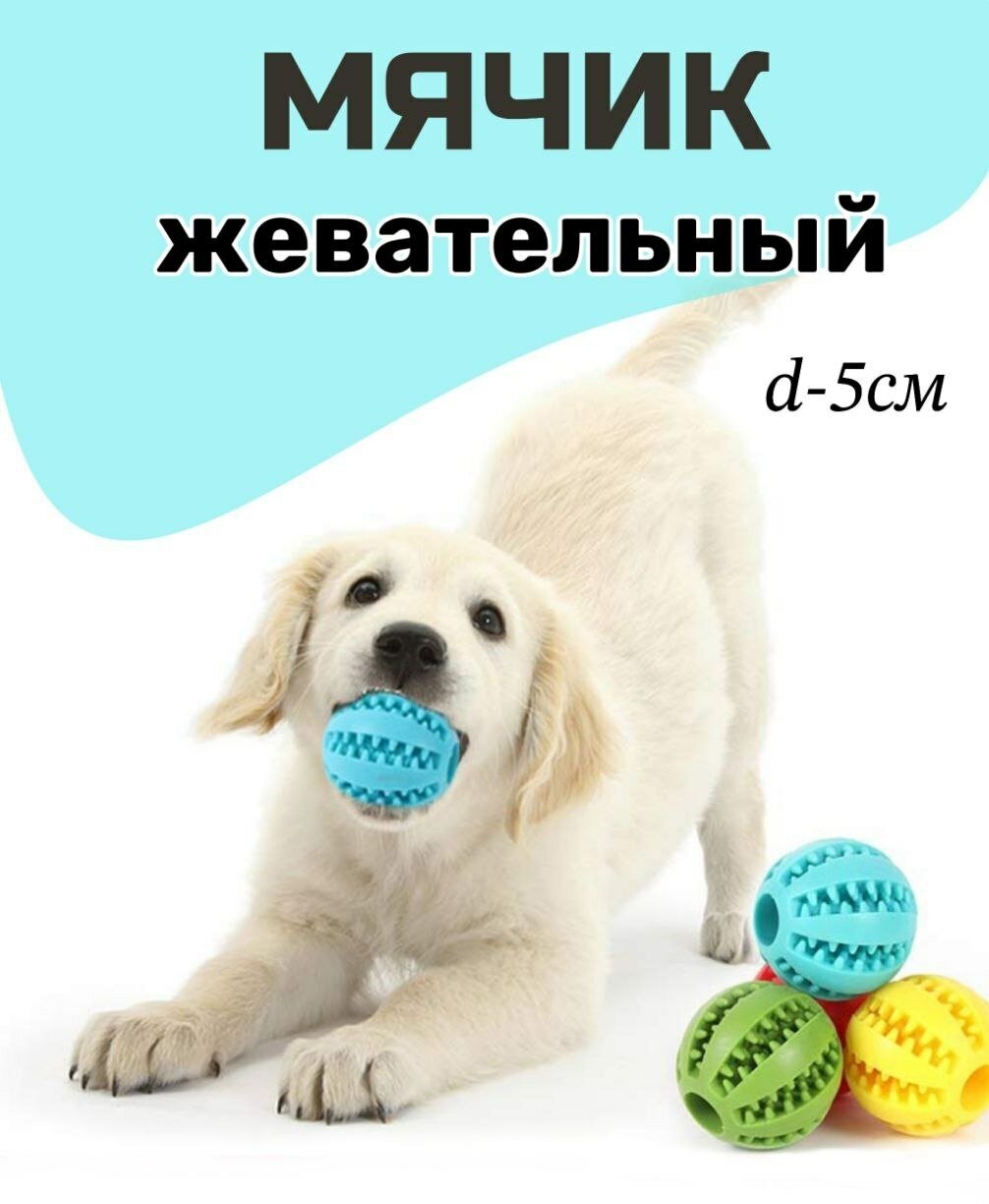 Игрушка мяч для собак резиновый, мяч жевательный 5см - фотография № 1