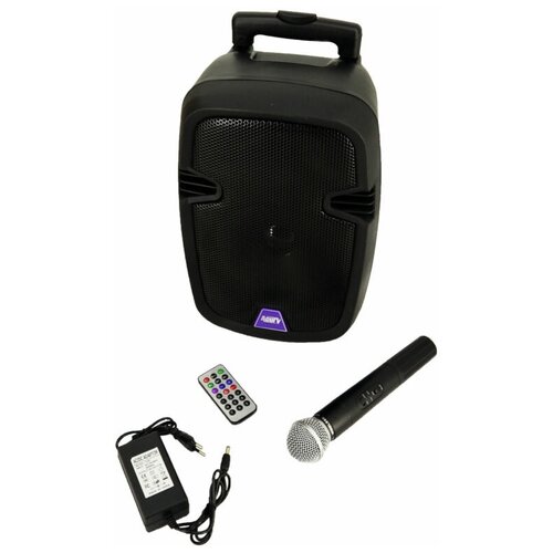 Портативная акустика Acury AS-10T 150 Вт black 3123800₽