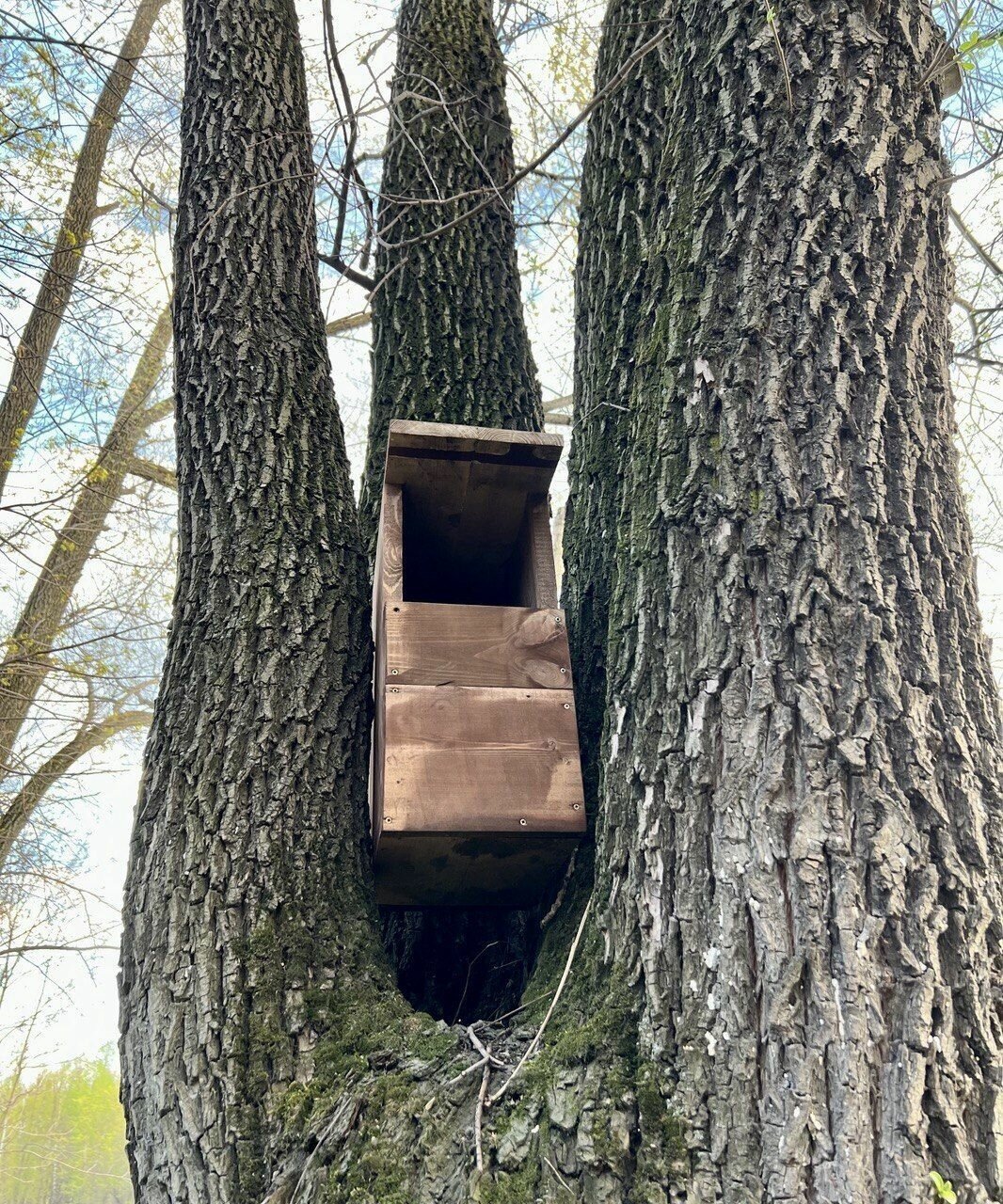 Деревянный скворечник-совятник для птиц сов из дерева сосны, собранный, WS-006 - фотография № 15