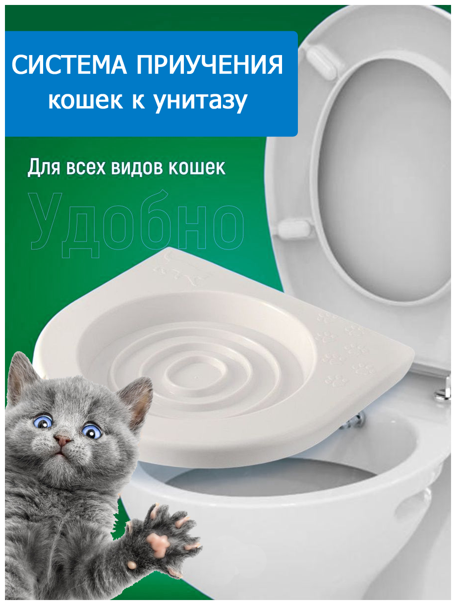 Стоит ли покупать Туалет для приучения кошек к унитазу? Отзывы на Яндекс  Маркете