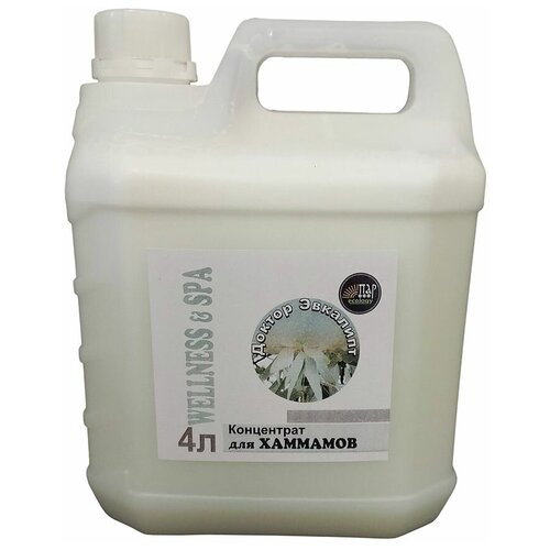Аромат для хаммама Доктор Эвкалипт (концентрат) 4 л.