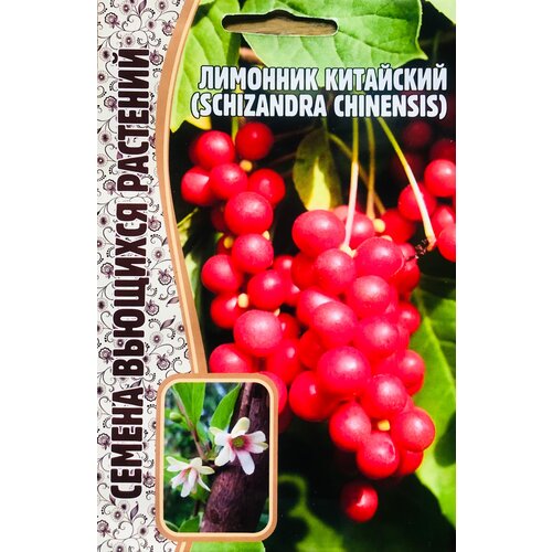 Семена Лимонника китайского (Schizandra chinensis) (5 семян) семена мискантуса китайского miscanthus chinensis 0 01 г