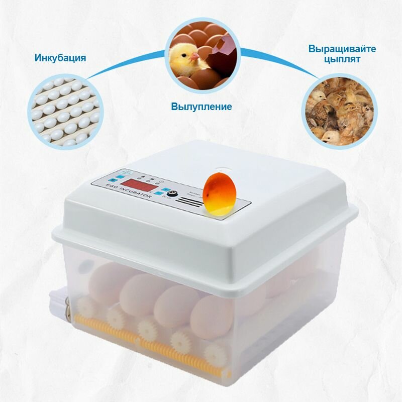 16 полностью автоматических двухэлектрических домашних инкубаторов для умных яиц