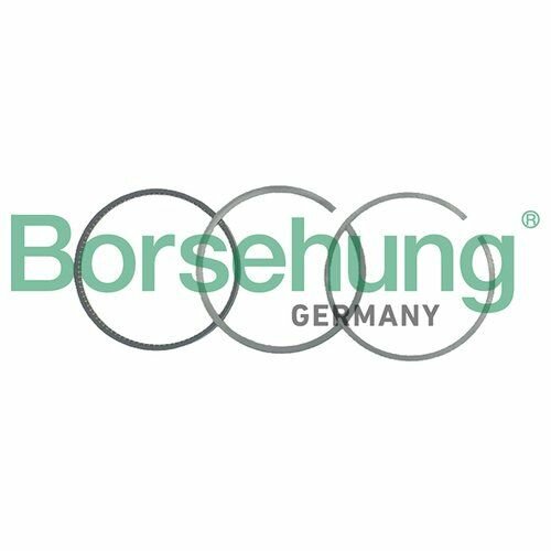 Комплект поршневых колец на поршень Borsehung B19041
