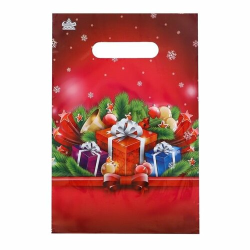 Пакет Малиновый подарок полиэтиленовый с вырубной ручкой 20х30 см 30 мкм 100 шт 1056₽