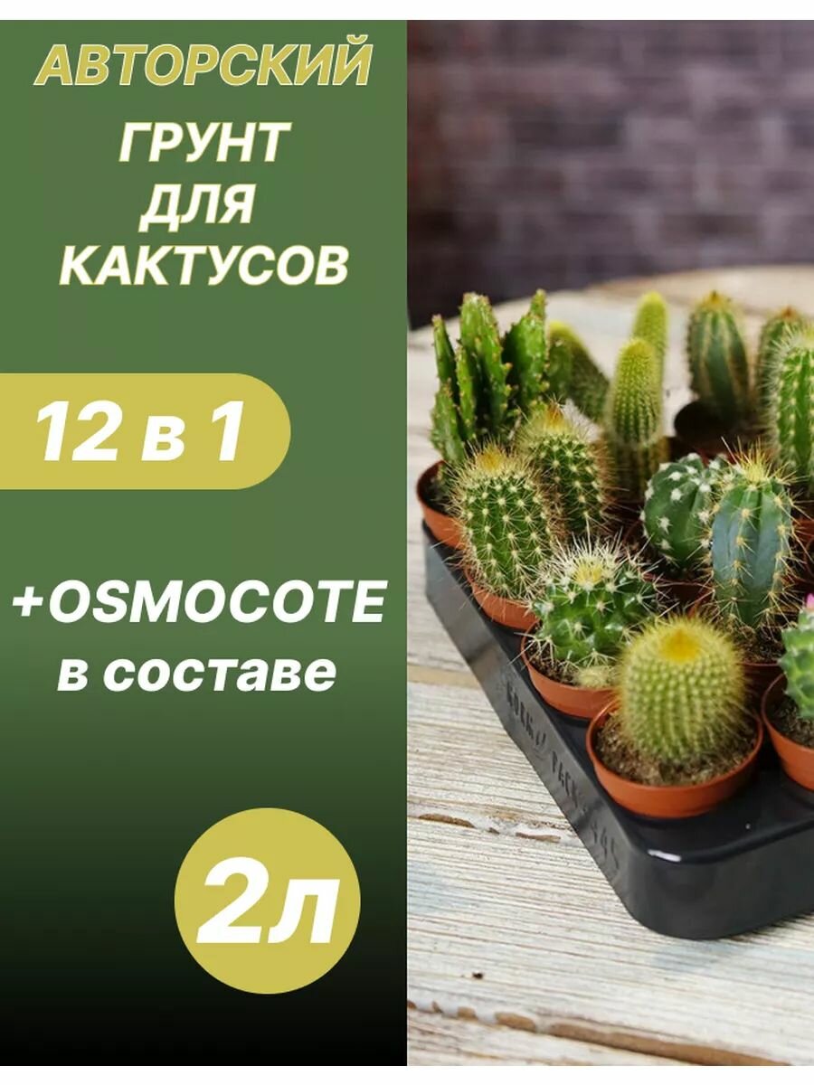 Грунт для Кактусов 2 л готовый
