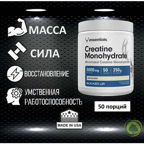 BUCKED UP, PREMIUM, креатин моногидрат, 250 гр (50 порций)