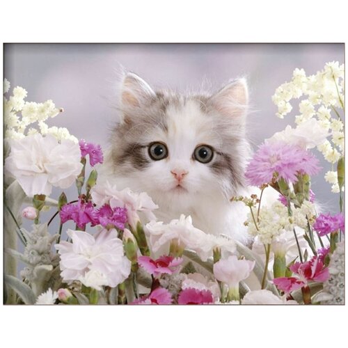 Алмазная мозаика / частичная вышивка на картоне с подставкой 21x25 Котенок в цветах