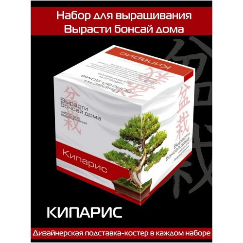 Подарочный набор для выращивания 