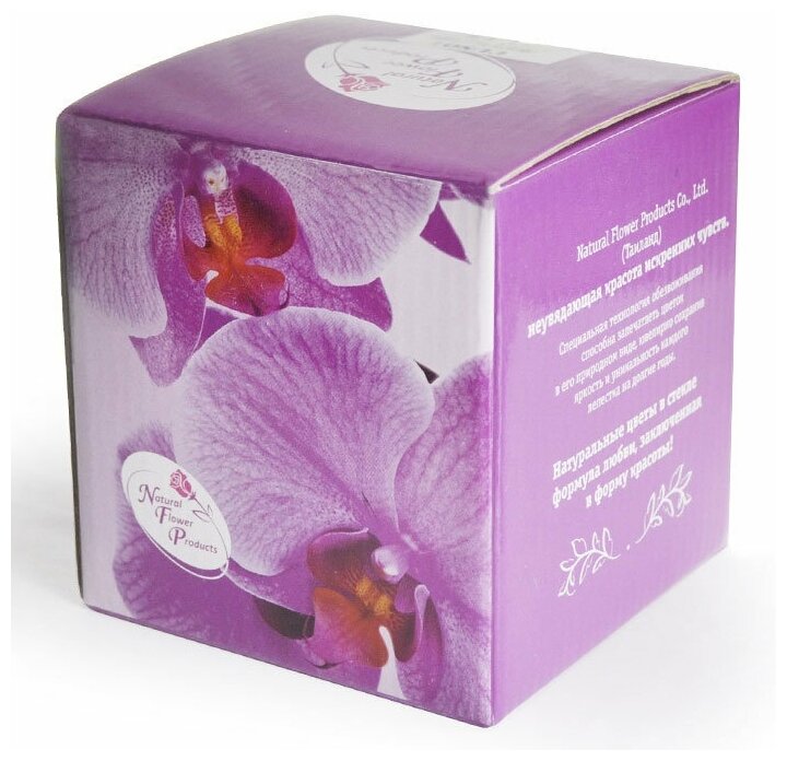 Natural Flower Products Co. Орхидея в стекле (7 x 8.5 x 8.5 см)