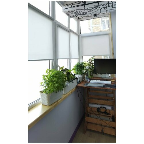 фото Рулонная штора на окно мини эко (серый, 45 х 210 см) мастер плюс