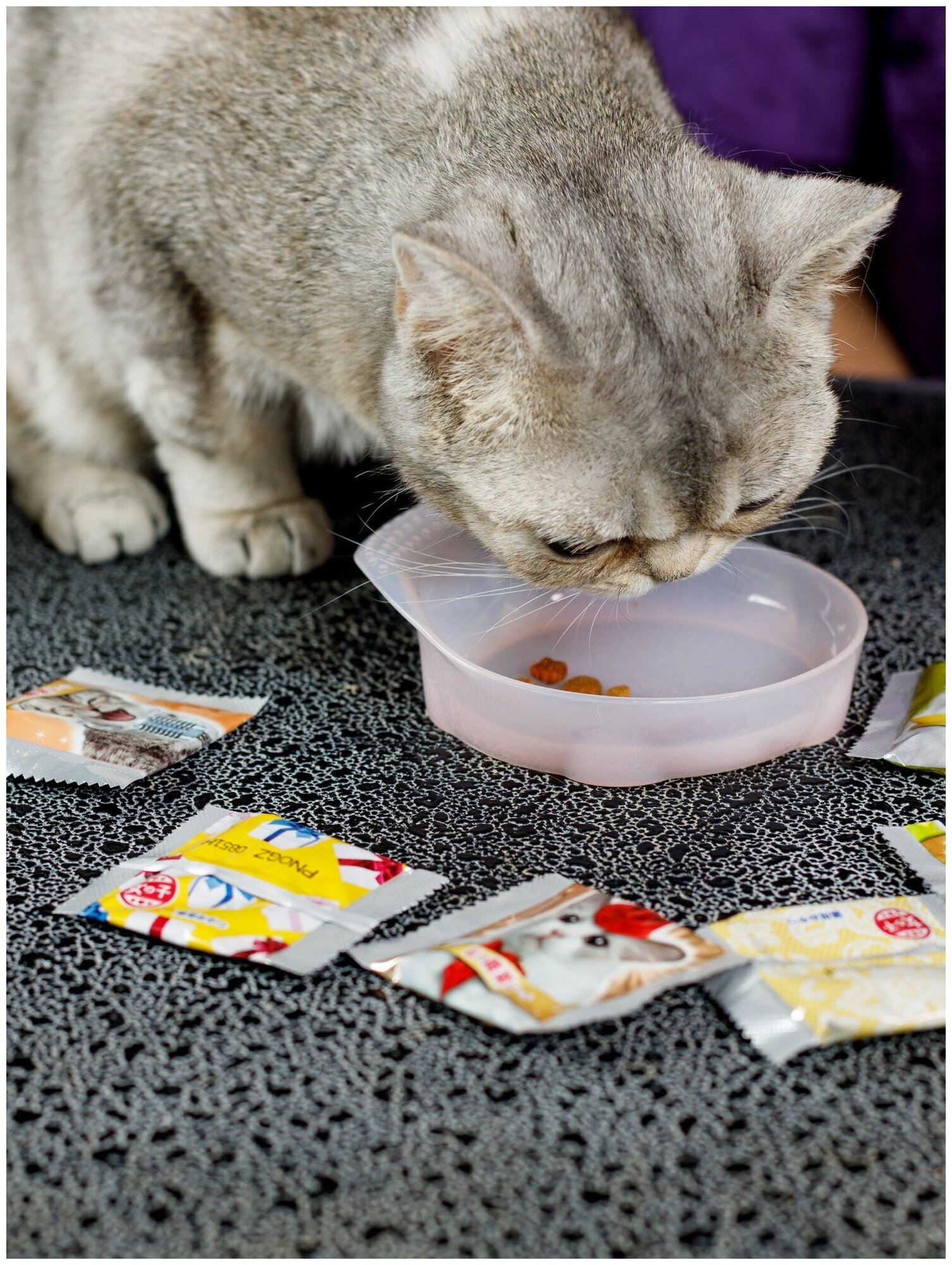 Лакомство для кошек Japan Premium Pet, хрустящий корм PRESENT для избалованных кошек на основе японского цыплёнка в сырном соусе, 42 г - фотография № 7