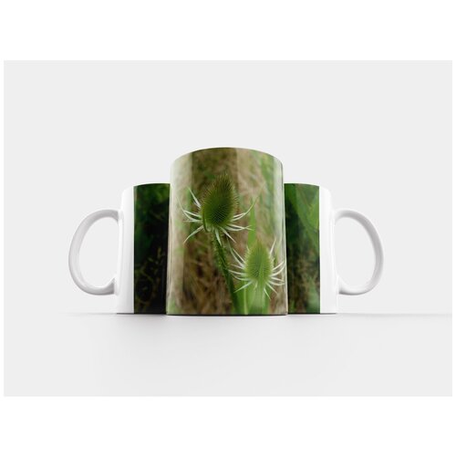 фото Кружка "чертополох, зеленый, thistle цветок" 320 мл lotsprints
