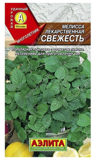 Семена Мелиссы лекарственной 