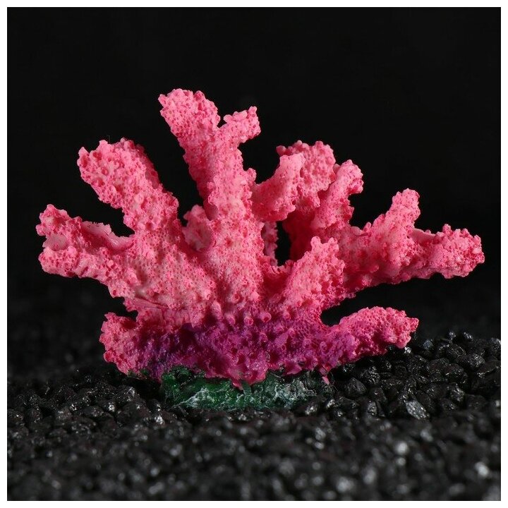 Декоративный коралл "Синулярия", 10 х 5 х 6,5 см 1279941