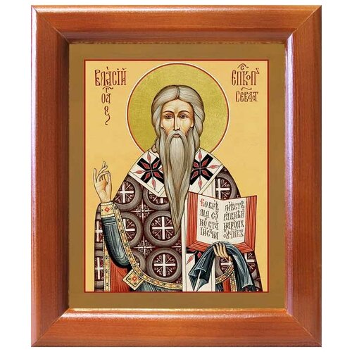 Священномученик Власий Севастийский, икона в рамке 12,5*14,5 см