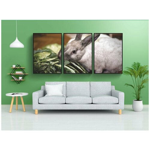 фото Набор модулных постеров для интерьера "карликовый кролик, цвет карлика, домашнее животное" 60x90 см. в тубусе, без рамки lotsprints