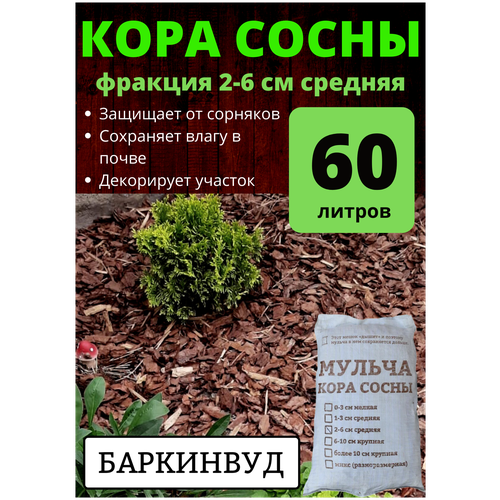 Мульча кора сосны баркинвуд 60 л средней фракции 2-6 см