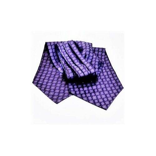 фото Шейный мужской платок (аскот) dominique lemay