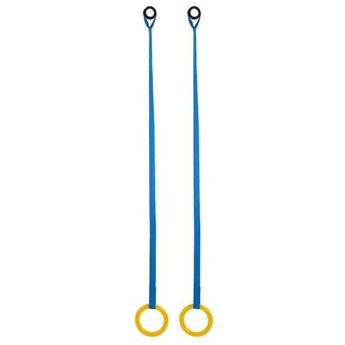 Кольца гимнастические для ДСК на стропе, цвет микс