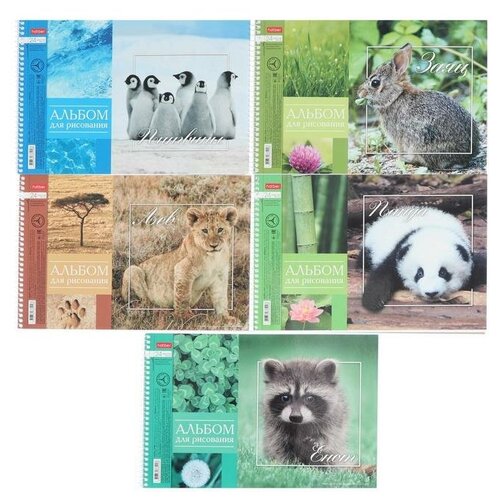 Альбом для рисования А4, 24 листа, на гребне, BabyZoo, обложка мелованный картон, блок 100 г/м², перфорация на отрыв, микс