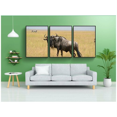 фото Набор модулных постеров для интерьера "гну, дикий, дикая природа" 60x90 см. в тубусе, без рамки lotsprints