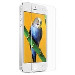 Защитное стекло BROSCO для Apple iPhone 5 / 5S / SE - изображение