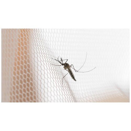 Москитная сетка от насекомых (2 шт.), цвет зелёный и белый