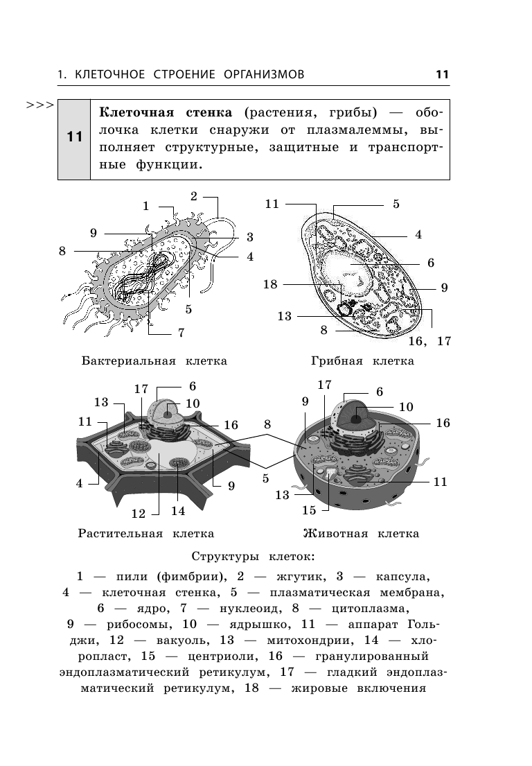 ОГЭ. Биология. Блицподготовка (схемы и таблицы) - фото №11