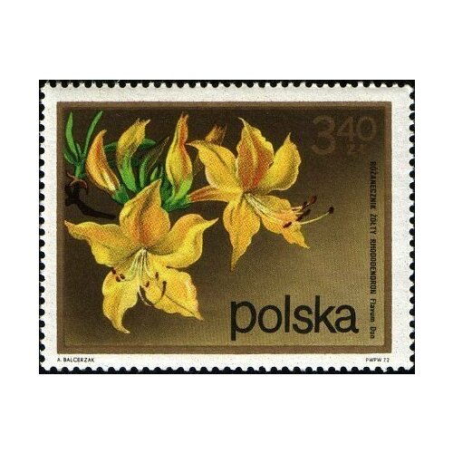(1972-078) Марка Польша Рододендрон Кустарниковые Цветы II Θ