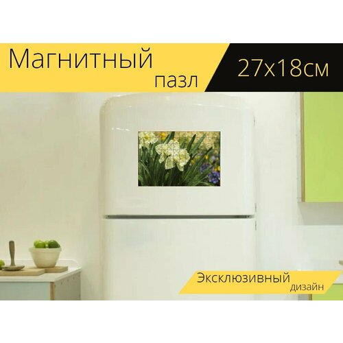 Магнитный пазл Нарциссы, нарцисс, весна на холодильник 27 x 18 см.