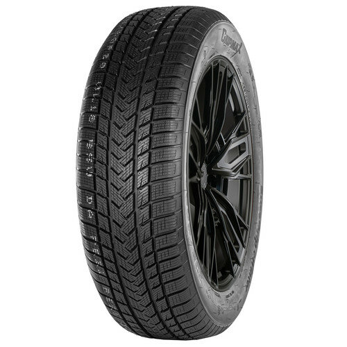 Gripmax SureGrip eWinter 235/55 R17 103V