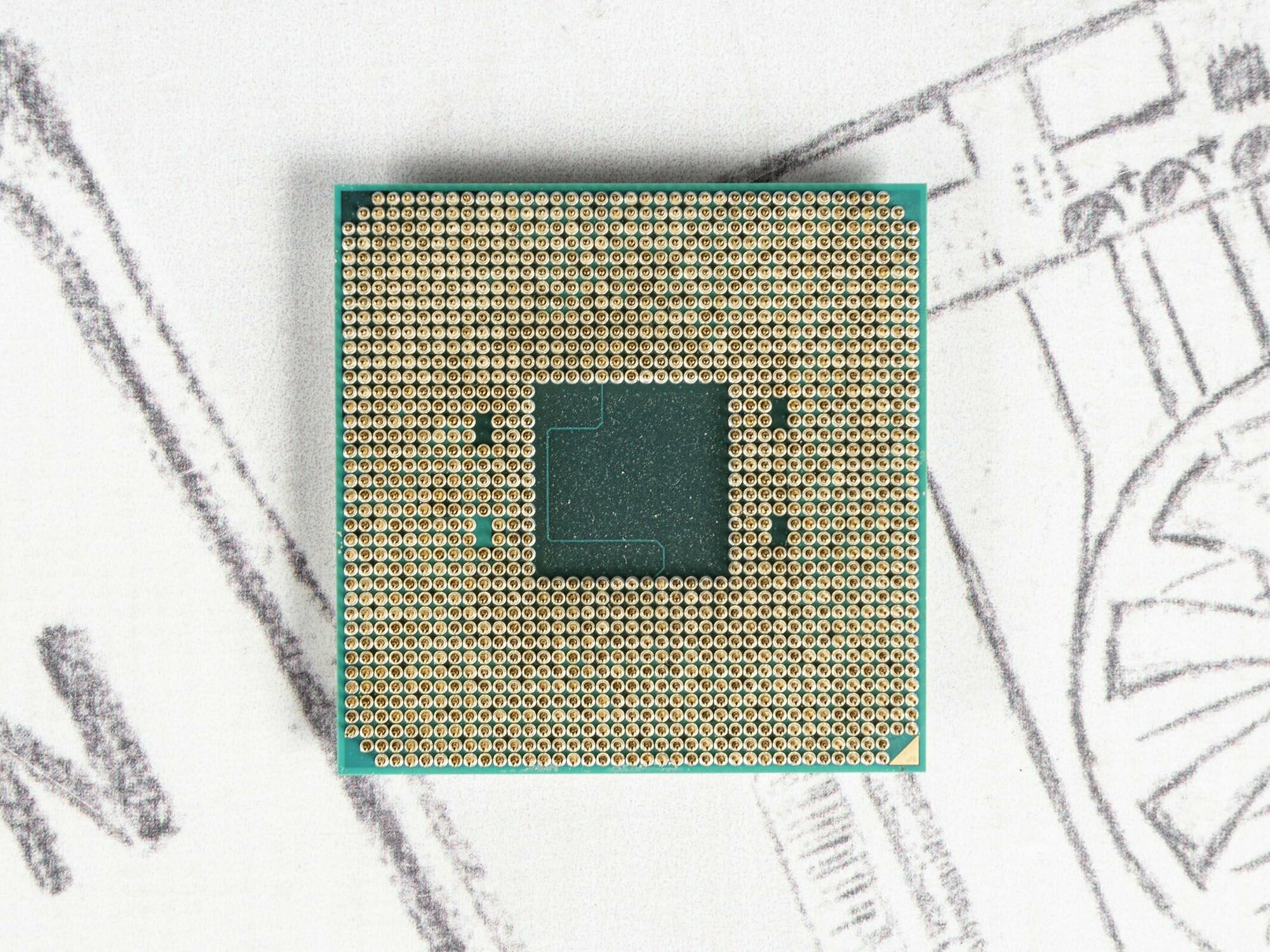 AMD - фото №20