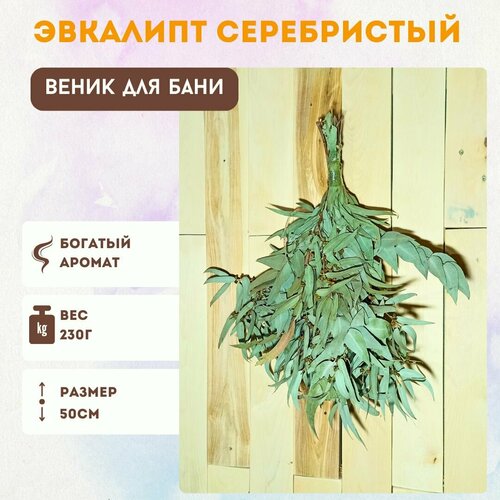 Эвкалиптовый веник для бани и банного чана.