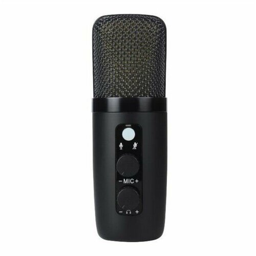 BM-501 Микрофон конденсаторный USB Foix 198300₽