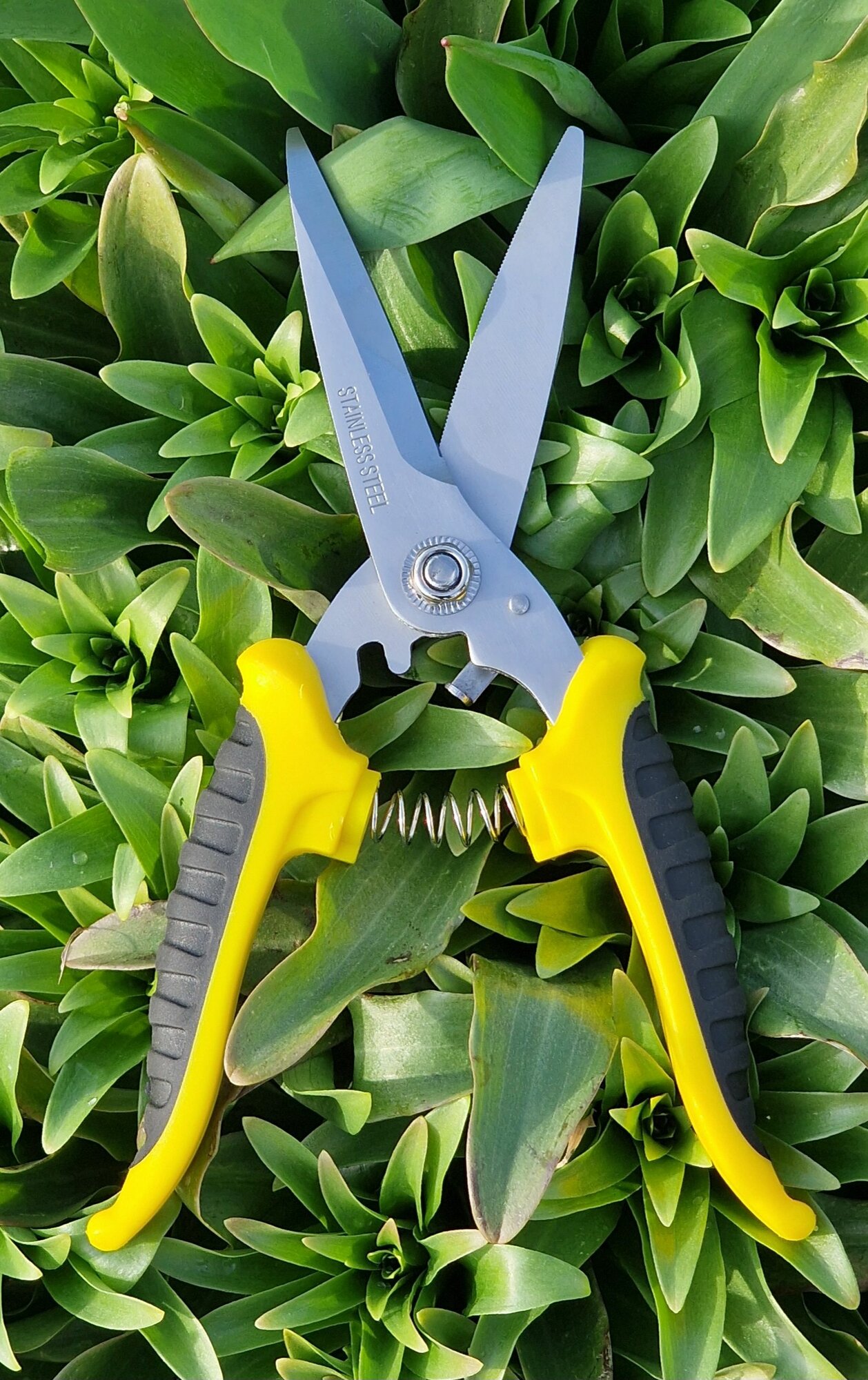 фото Ножницы универсальные 200мм*80мм японская нержавеющая сталь WURZ 6101