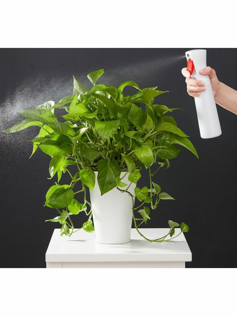 фото Пульверизатор iClean Spray Bottle YG-01