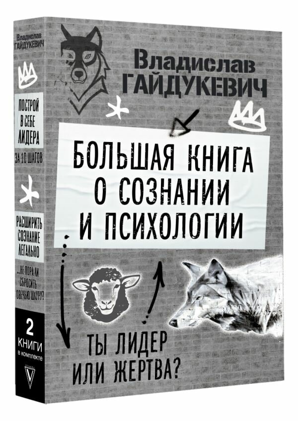 Большая книга о сознании и психологии: ты лидер или жертва? - фото №2